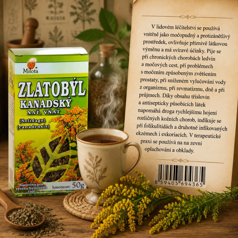 Obrázek (1)