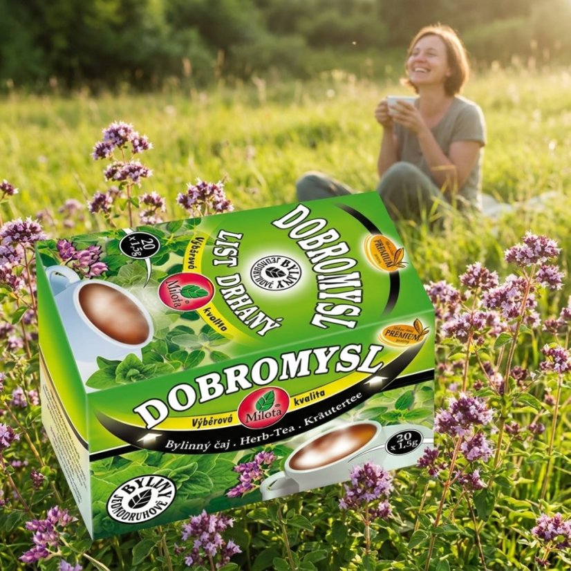 Obrázek (2)