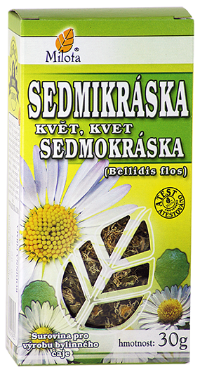 B-sedmikraska-kvet-96186.png