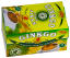 C:\POHODA\POHODA _E1\Dokumenty\MILOTA\Obrázky\JB-jinan-ginkgo-list-99268.png