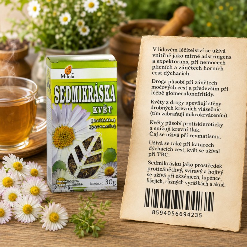 Obrázek