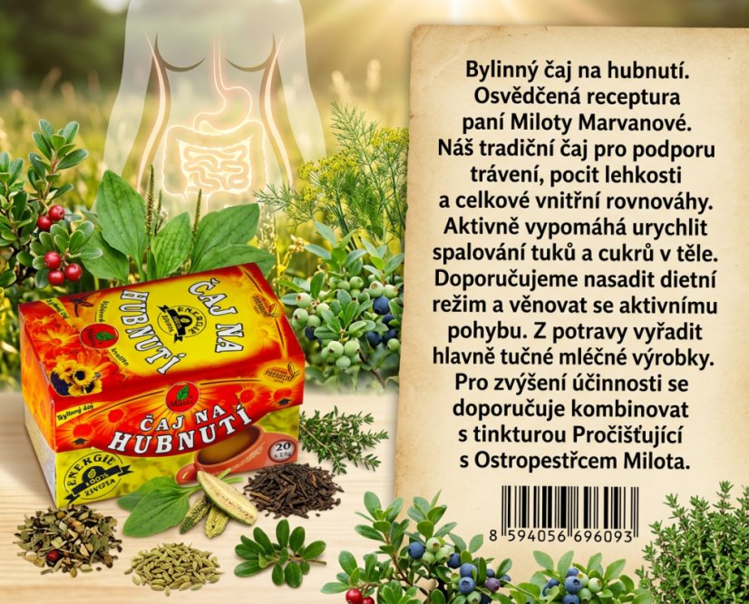 Obrázek (3)