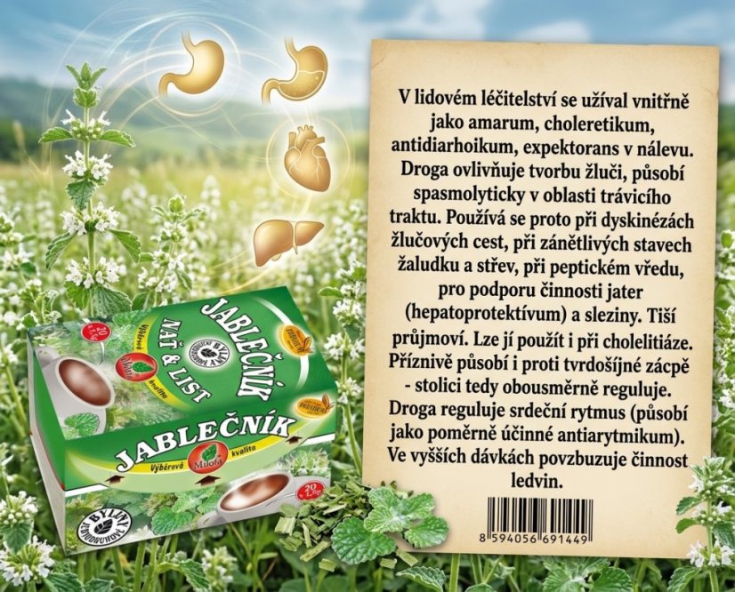 Obrázek (3)