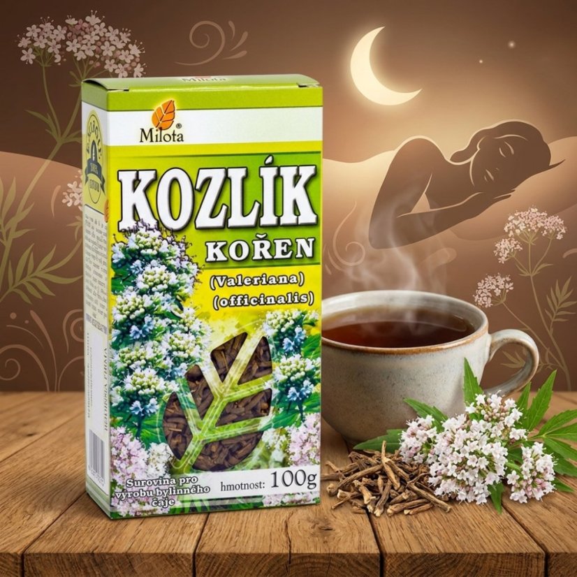 Obrázek (3)