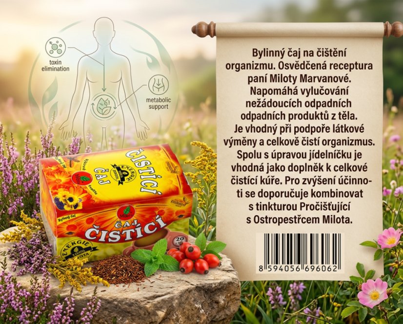 Obrázek (3)