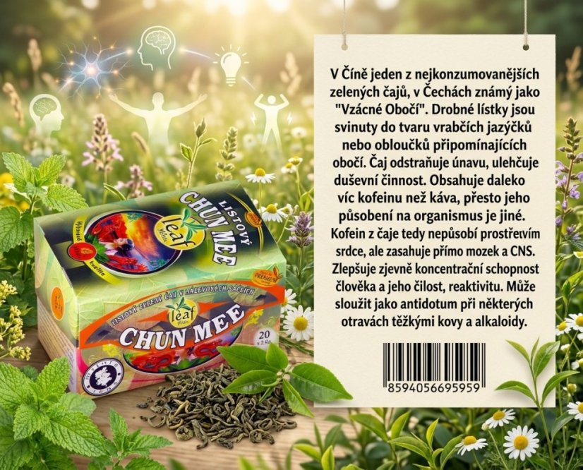 Obrázek (3)