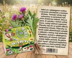 Maralí koreň s vňaťou 40g(20x2g)