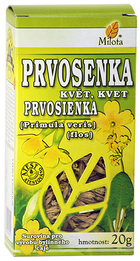 B-prvosenka-kvet-96163.png