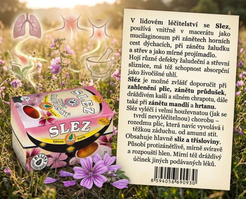 Obrázek (3)