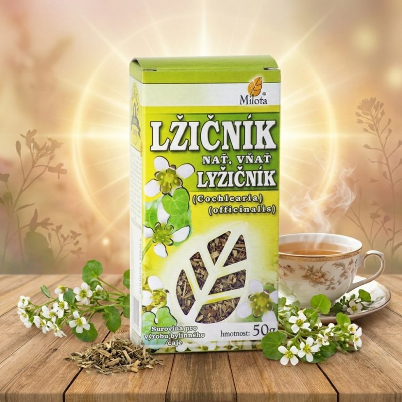 Obrázek (2)