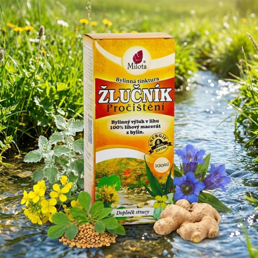 Žlčník prečistenie 100ml