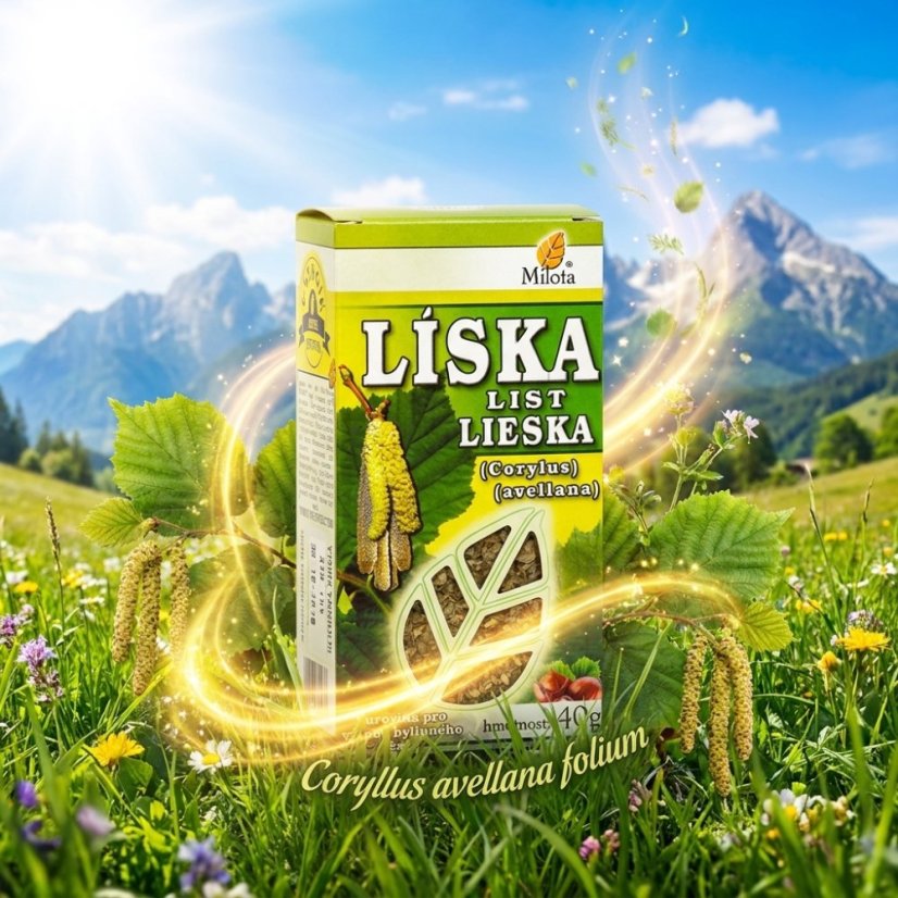 Obrázek (3)