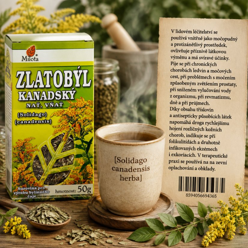 Obrázek