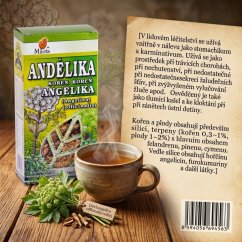 Archangelika lekárska koreň 50g