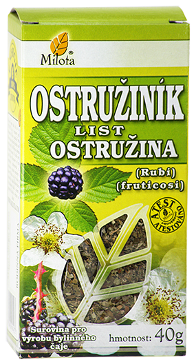 B-ostruzinik-list-96143.png