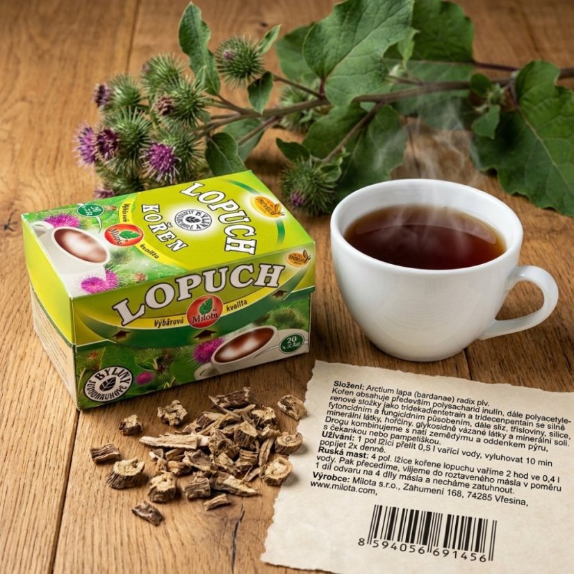 Lopúch koreň 40g(20x2g)