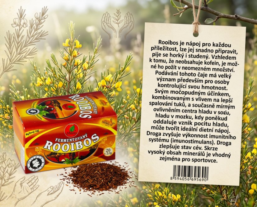 Obrázek (1)