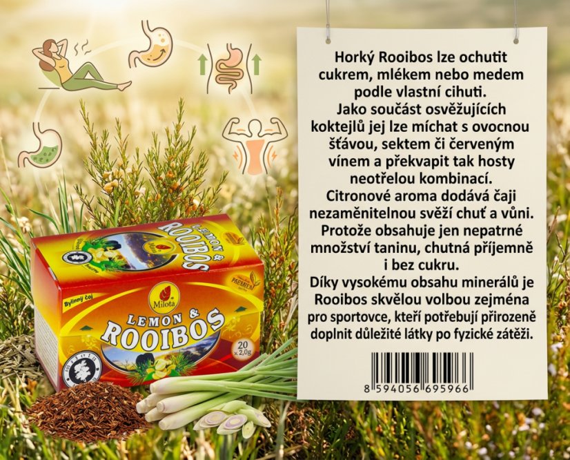 Obrázek (3)