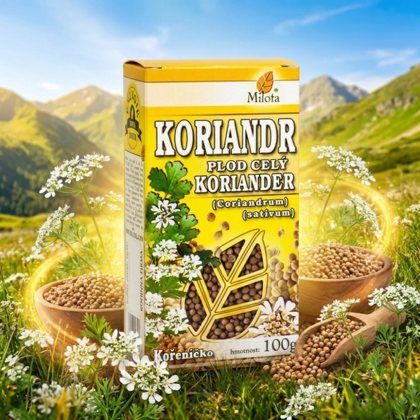 Obrázek (3)