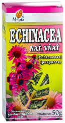 Echinacea (Rudbekia purpurová) vňať 50g