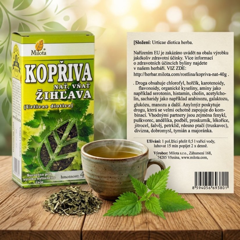 Obrázek (1)