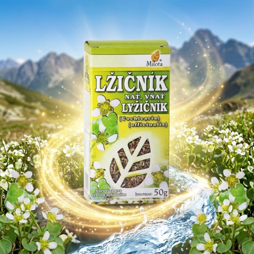 Obrázek (3)