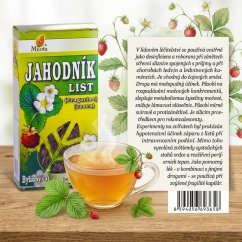 Obrázek