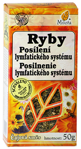 C:\POHODA\POHODA _E1\Dokumenty\MILOTA\Obrázky\C-ryby-99002.png