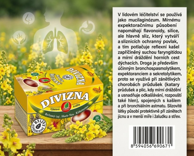 Obrázek (1)