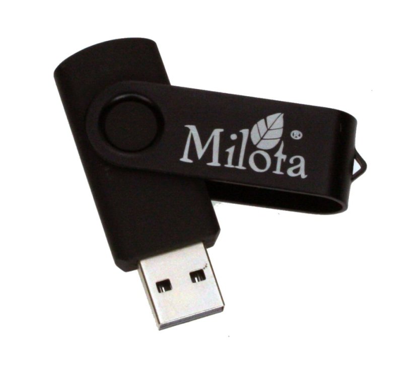 Dárek USB Milota