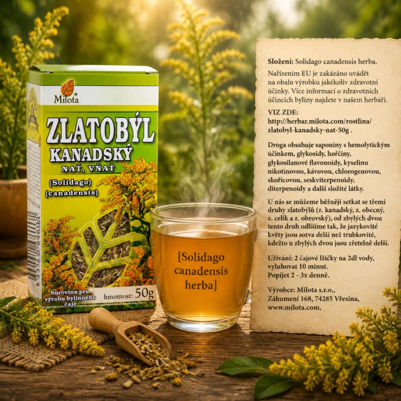 Obrázek (2)