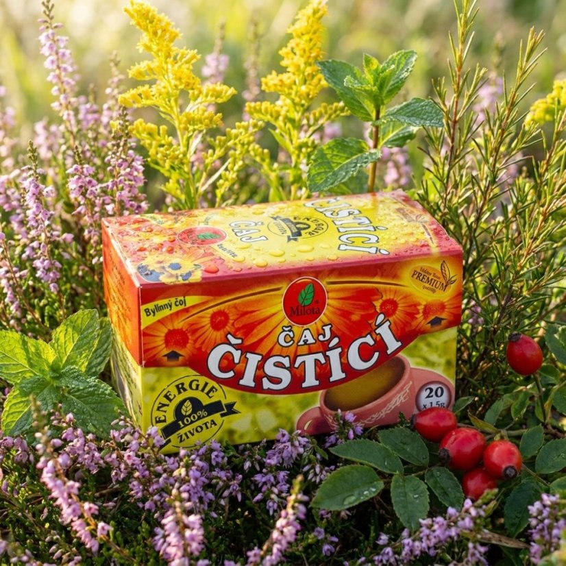 Čistiaci čaj 30g(20x1,5g)