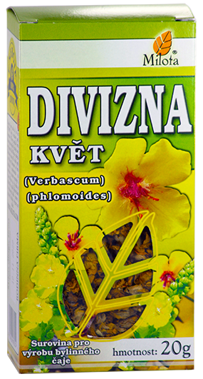 C:\POHODA\POHODA _E1\Dokumenty\MILOTA\Obrázky\B-divizna-kvet-96035.png