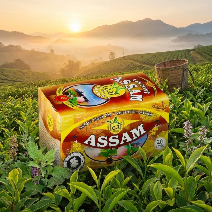 India Assam čierny TGFOP1 40g(20x2g) LEAF