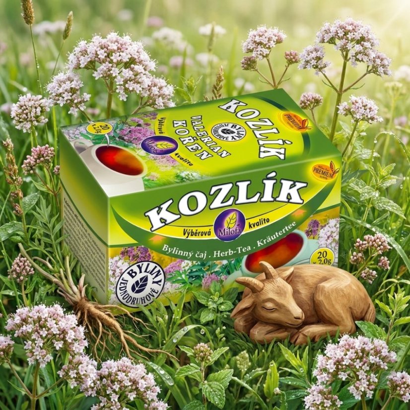 Obrázek (3)