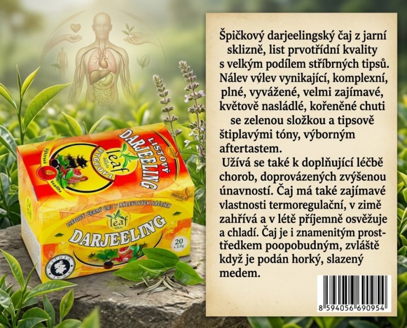 Obrázek (3)