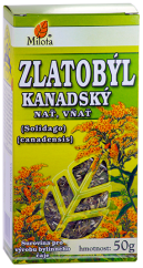 C:\POHODA\POHODA _E1\Dokumenty\MILOTA\Obrázky\B-zlatobyl-kanadsky-nat-96228.png