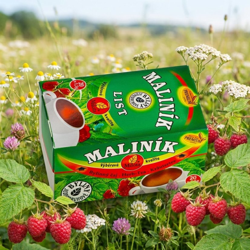 Malina list 30g(20x1,5g)