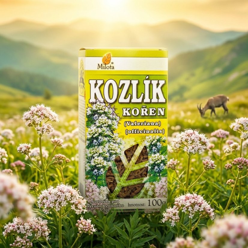 Obrázek (4)