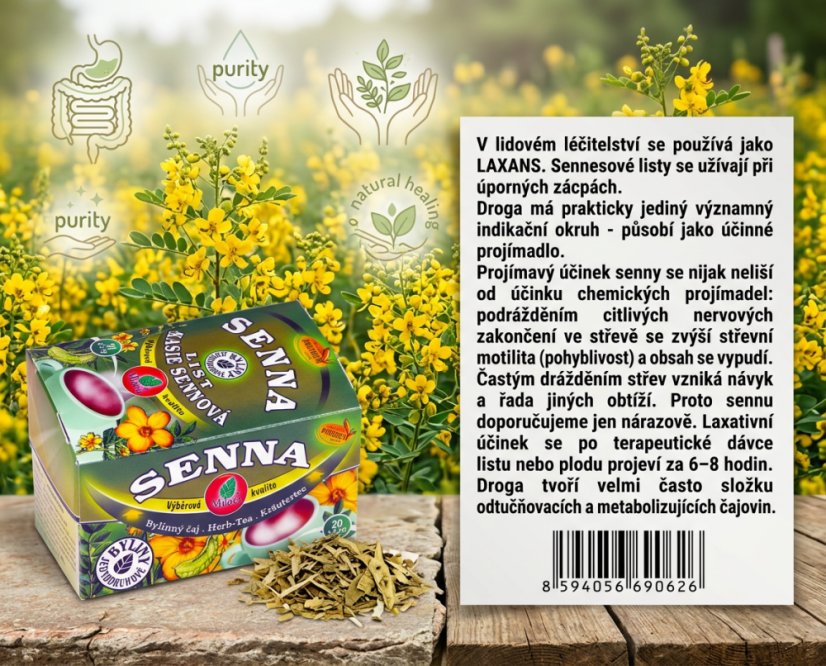 Obrázek (3)