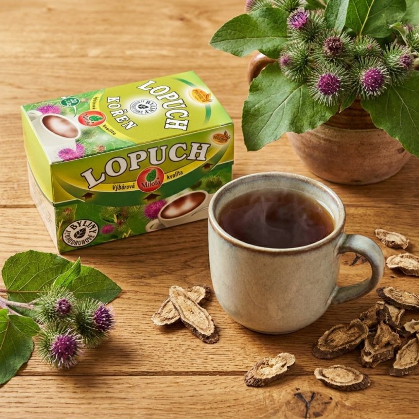 Lopúch koreň 40g(20x2g)