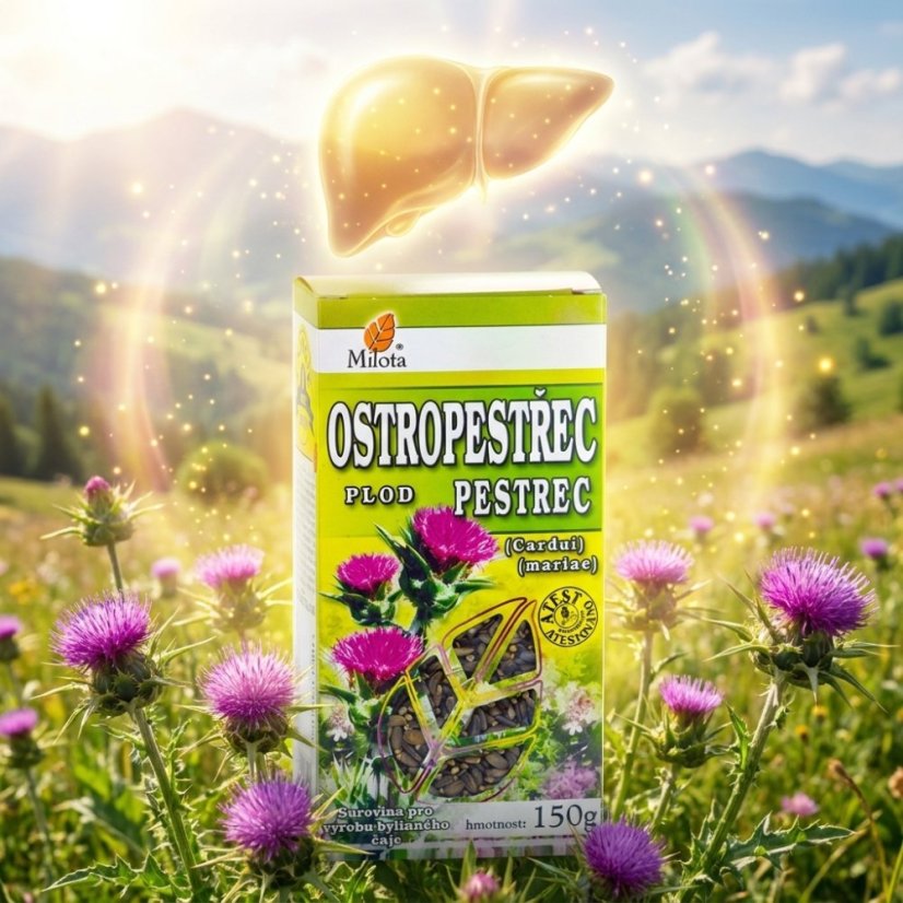 Pestrec mariánsky plod 150g
