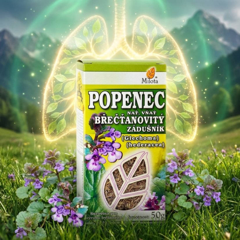 Zádušník brečtanovitý vňať 50g