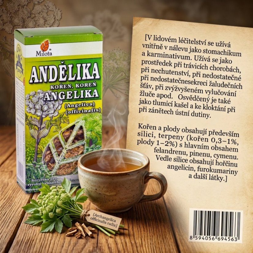 Obrázek