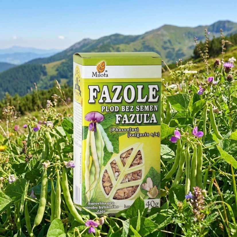 Fazuľa obyčajná plod bez semien 40g