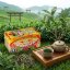 Japan Bancha 40g(20x2g) LEAF