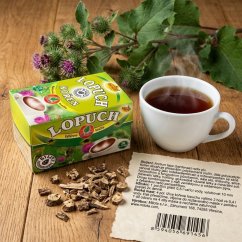Lopúch koreň 40g(20x2g)