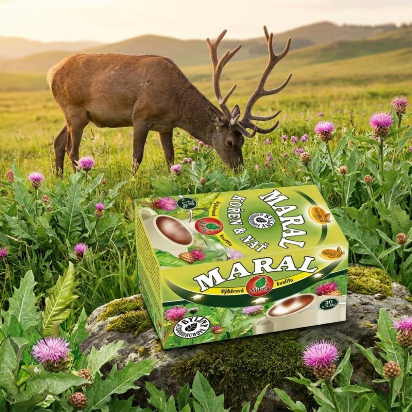 Maralí koreň s vňaťou 40g(20x2g)