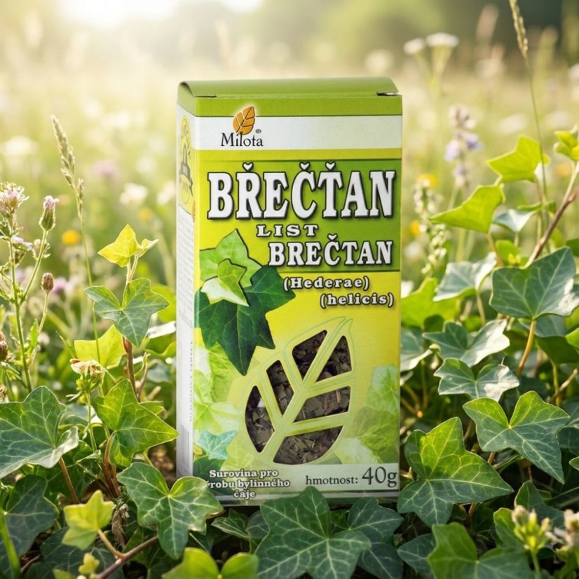 Brečtan popínavý list 40g