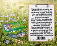 Čakanka koreň s vňaťou 40g(20x2g)
